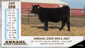 Lot #168 - AMDAHL DIXIE ERICA 2007