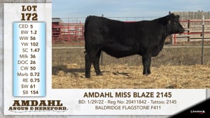 Lot #172 - AMDAHL MISS BLAZE 2145