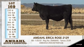 Lot #169 - AMDAHL ERICA ROSE 2129