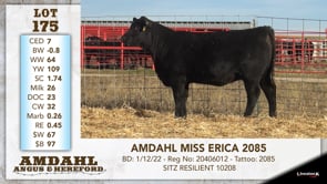 Lot #175 - AMDAHL MISS ERICA 2085