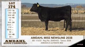 Lot #174 - AMDAHL MISS NEWSLINE 2038