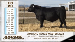 Lot #20 - AMDAHL RANGE MASTER 2023