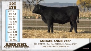 Lot #178 - AMDAHL ANNIE 2127