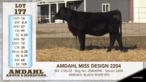 Lot #177 - AMDAHL MISS DESIGN 2204