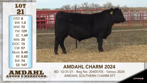 Lot #21 - AMDAHL CHARM 2024