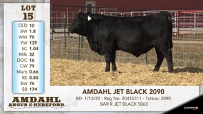 Lot #15 - AMDAHL JET BLACK 2090