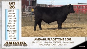 Lot #26 - AMDAHL FLAGSTONE 2009