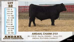 Lot #32 - AMDAHL CHARM 2151