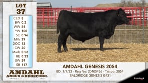 Lot #37 - AMDAHL GENESIS 2054