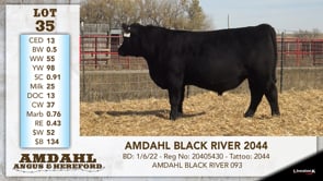 Lot #35 - AMDAHL BLACK RIVER 2044
