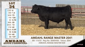 Lot #34 - AMDAHL RANGE MASTER 2041