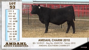 Lot #53 - AMDAHL CHARM 2010