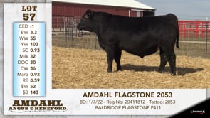 Lot #57 - AMDAHL FLAGSTONE 2053