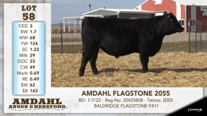 Lot #58 - AMDAHL FLAGSTONE 2055