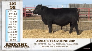 Lot #52 - AMDAHL FLAGSTONE 2001