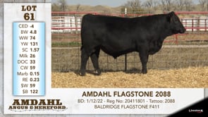 Lot #61 - AMDAHL FLAGSTONE 2088
