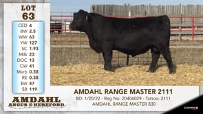 Lot #63 - AMDAHL RANGE MASTER 2111