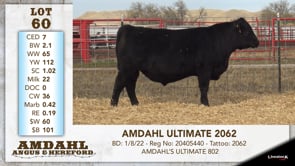 Lot #60 - AMDAHL ULTIMATE 2062
