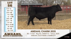 Lot #56 - AMDAHL CHARM 2035