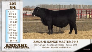 Lot #64 - AMDAHL RANGE MASTER 2115