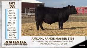 Lot #73 - AMDAHL RANGE MASTER 2195
