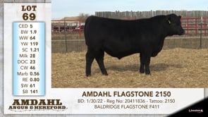 Lot #69 - AMDAHL FLAGSTONE 2150