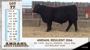 Lot #77 - AMDAHL RESILIENT 2066