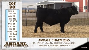 Lot #80 - OUT AMDAHL CHARM 2025 OUT
