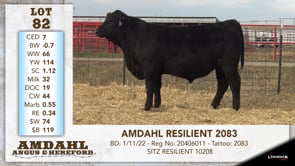 Lot #82 - AMDAHL RESILIENT 2083