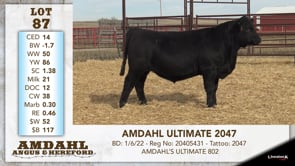 Lot #87 - AMDAHL ULTIMATE 2047