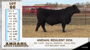 Lot #86 - AMDAHL RESILIENT 2034
