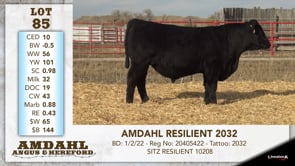 Lot #85 - AMDAHL RESILIENT 2032