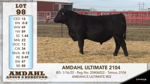 Lot #98 - AMDAHL ULTIMATE 2104