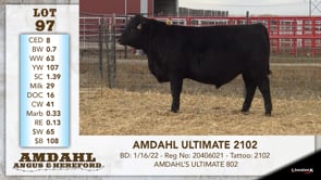 Lot #97 - AMDAHL ULTIMATE 2102