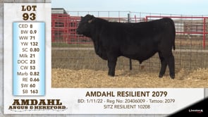 Lot #93 - AMDAHL RESILIENT 2079