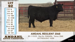 Lot #92 - AMDAHL RESILIENT 2068