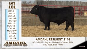 Lot #101 - AMDAHL RESILIENT 2114