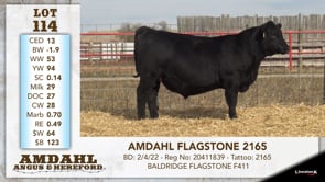 Lot #114 - AMDAHL FLAGSTONE 2165