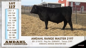 Lot #117 - AMDAHL RANGE MASTER 2197