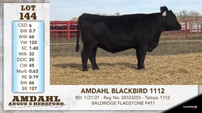 Lot #144 - AMDAHL BLACKBIRD 1112