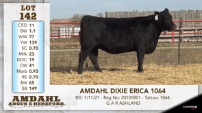 Lot #142 - AMDAHL DIXIE ERICA 1064