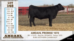 Lot #148 - AMDAHL PROMISE 1072