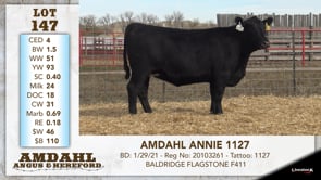 Lot #147 - AMDAHL ANNIE 1127