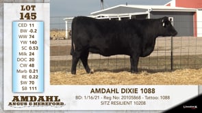 Lot #145 - AMDAHL DIXIE 1088