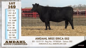 Lot #149 - AMDAHL MISS ERICA 002
