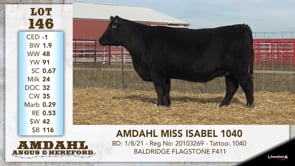 Lot #146 - AMDAHL MISS ISABEL 1040