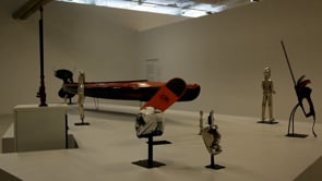 Vignette de la vidéo