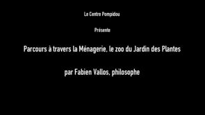 Vignette de la vidéo