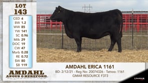 Lot #143 - AMDAHL ERICA 1161