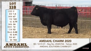 Lot #118 - AMDAHL CHARM 2020